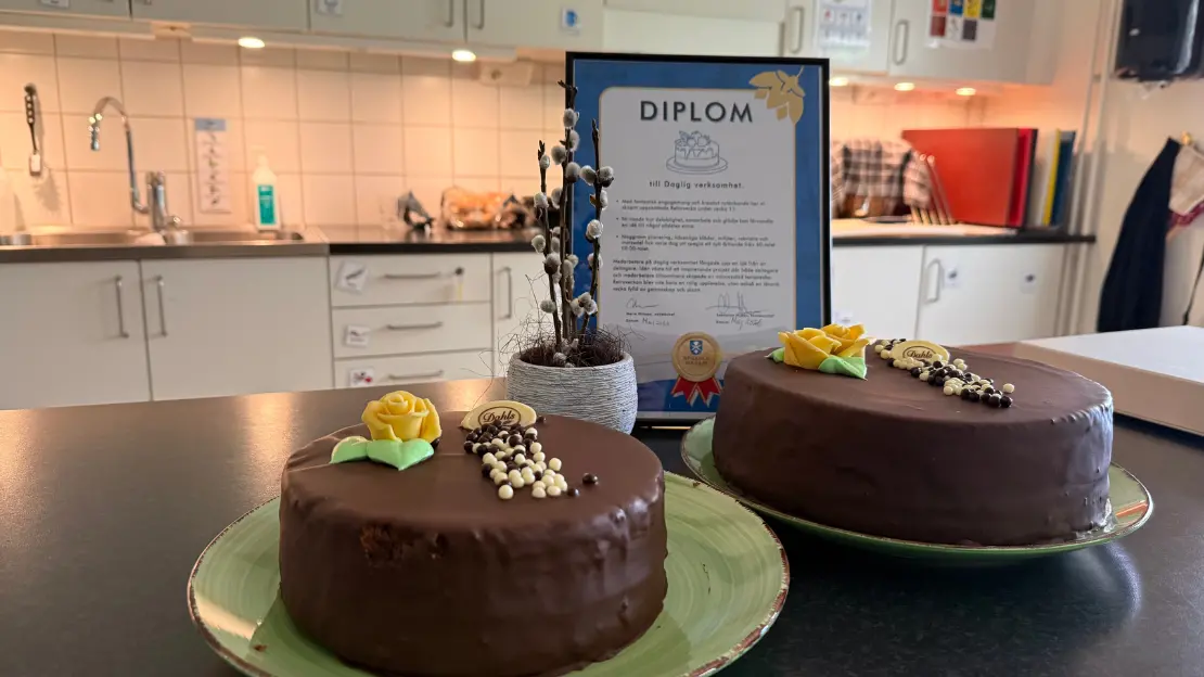 Två tårtor står framför ett diplom. I bakgrunden syns diskbänken. 