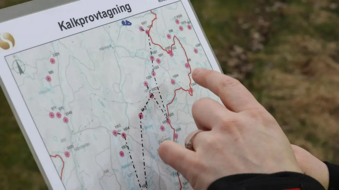Person pekar på punkt på karta om kalkprovtagning.