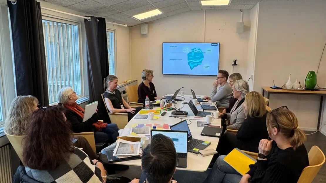 Flera anställda sitter tillsammans och arbetar med Skolverket.