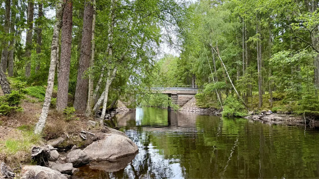 Naturbild på Kalvbron och del av Fegenområdets vatten.