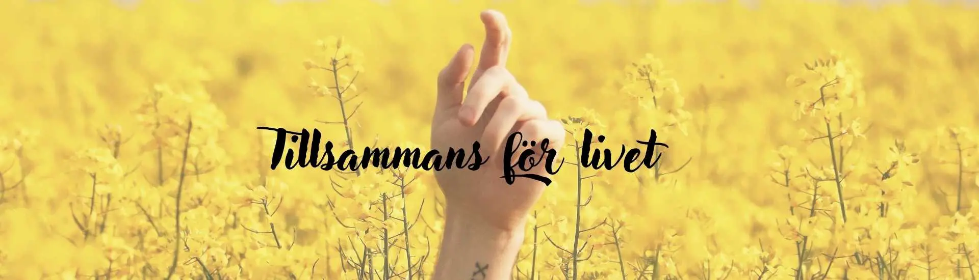 hand som sträcker sig upp ur raps fält, i förgrunden står texten "Tillsammans för livet"