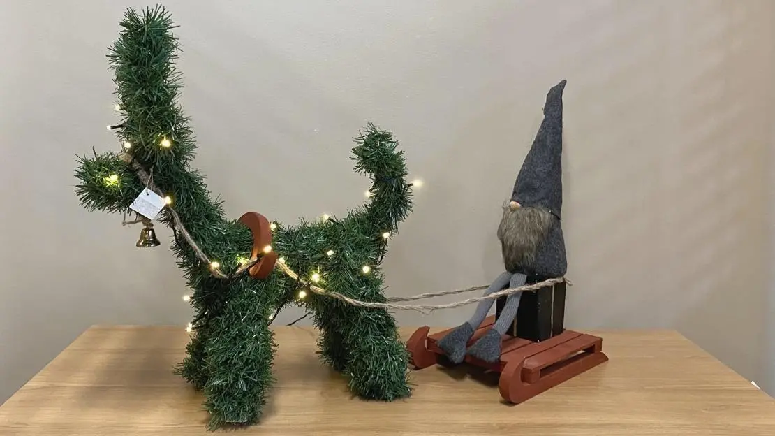 Grön julbock som drar en grå tomte på en släde.