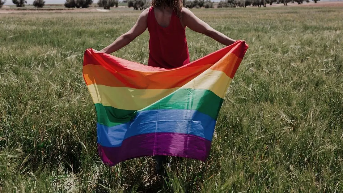 en person håller en prideflagga på en grön äng. 