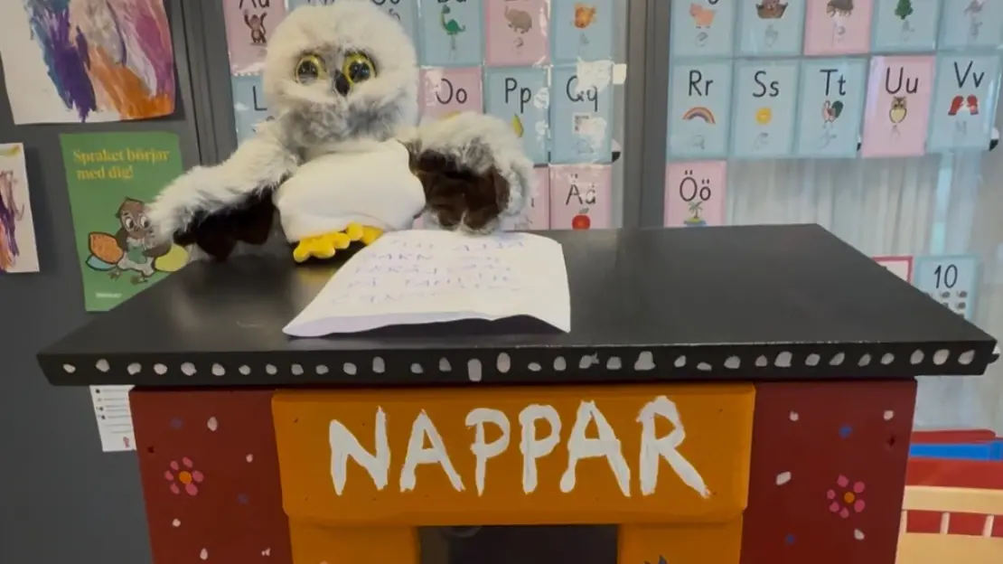 Nappugglan som sitter på nappholken.
