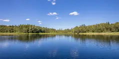Stilla sjö omringad av skog.