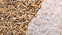 oskalad och skalad ris bredvid varandra