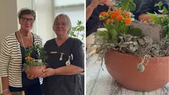 Uppvaktning av Anette Almgren