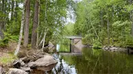 Naturbild på Kalvbron och del av Fegenområdets vatten.