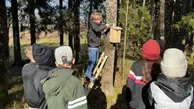 Elever står runt ett träd och sätter upp en fågelholk.