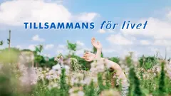 En blomsteräng med händer som stäcker sig upp. I förgrunden är texten Tillsammans för livet.
