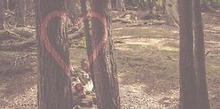 ett hjärta på träd i skogen