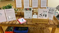 På ett träbord ligger det fröer i lådor och informationsblad står uppradade.